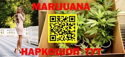индика Пушкино