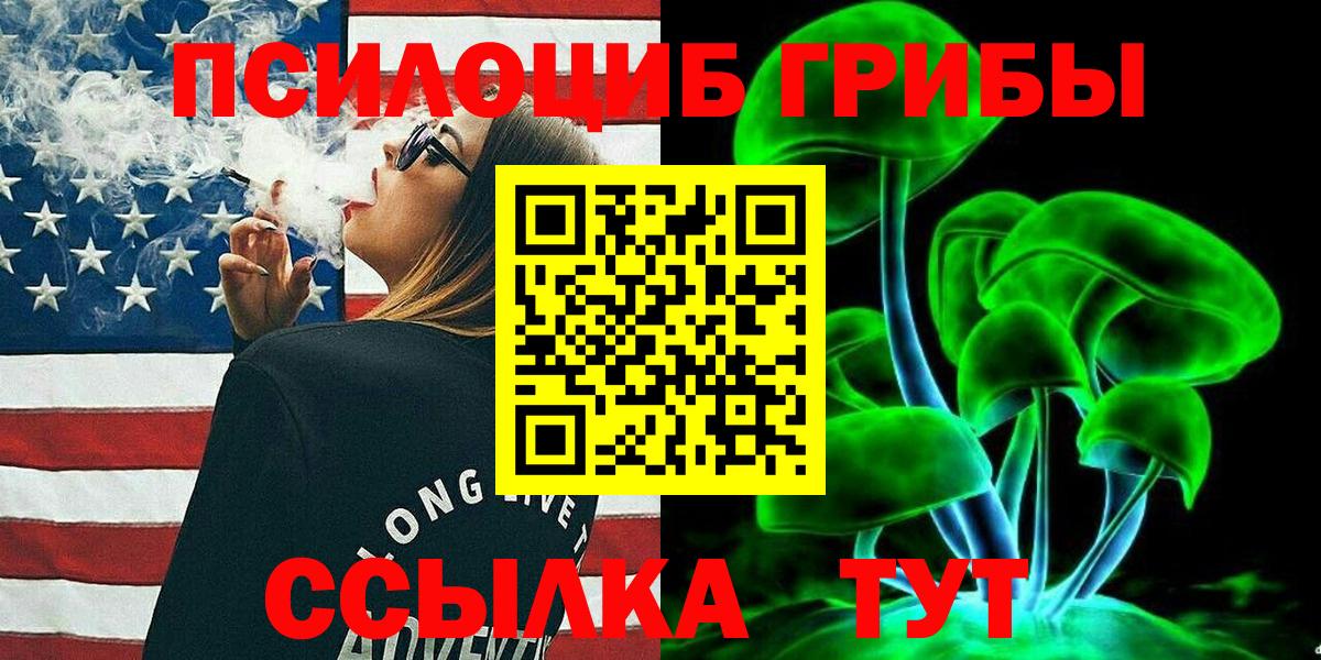 Галлюциногенные грибы Psilocybe Вязники